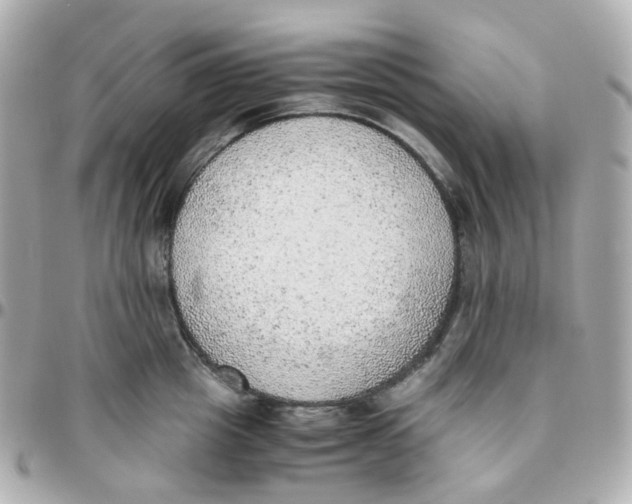 X0000095890857200802011105