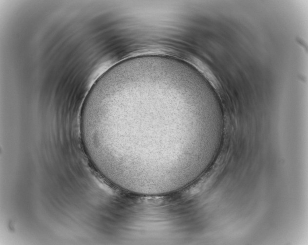 X0000095890858200802011105