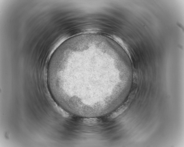 X0000095890859200802011105