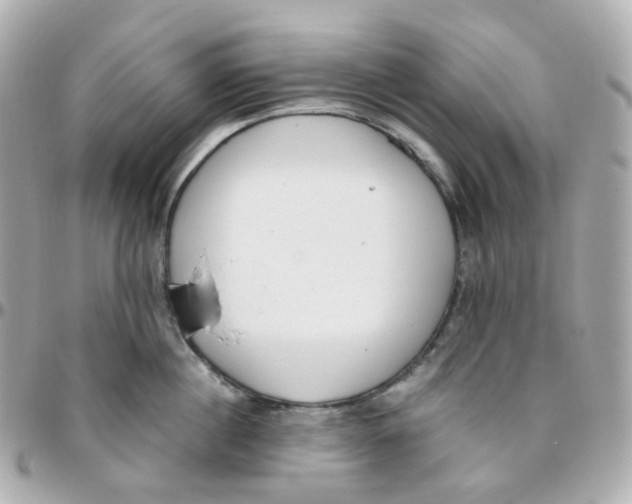 X0000095890860200802011105