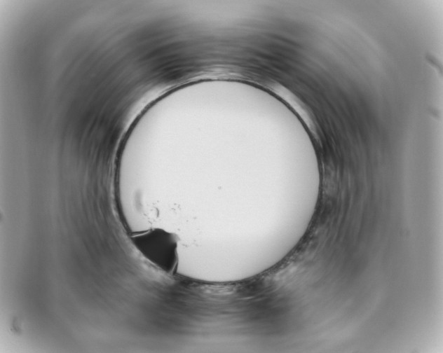 X0000095890861200802011105