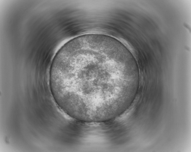 X0000095890862200802011105