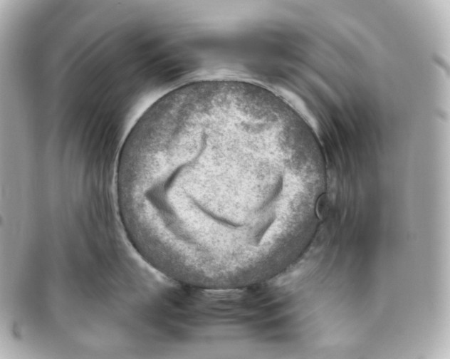 X0000095890863200802011105