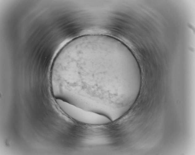 X0000095890864200802011105