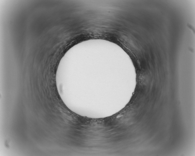 X0000095890865200802011104