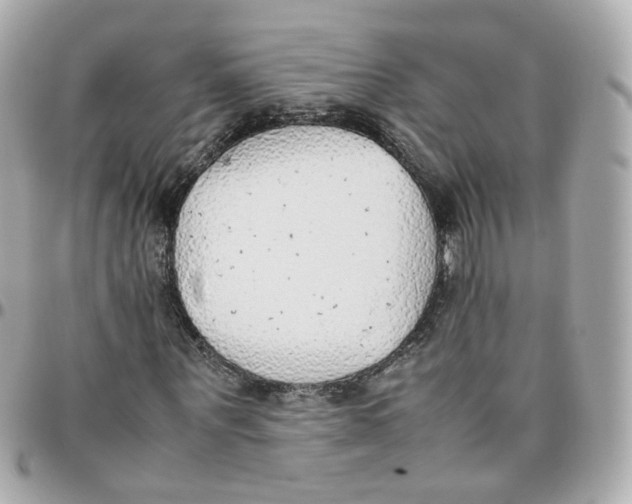 X0000095890867200802011104