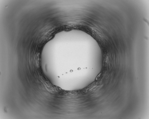 X0000095890868200802011104