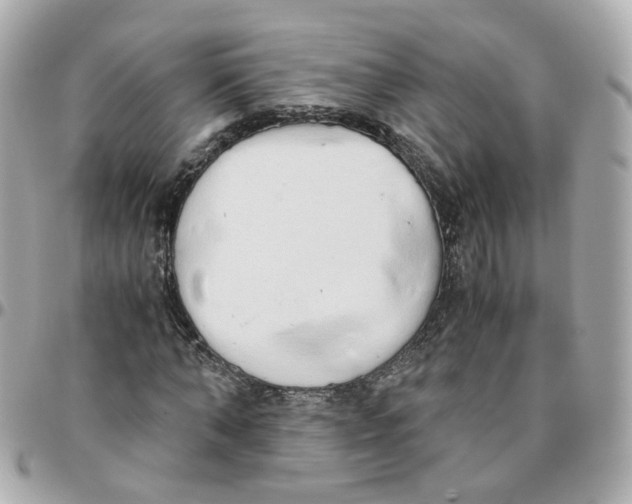 X0000095890870200802011104