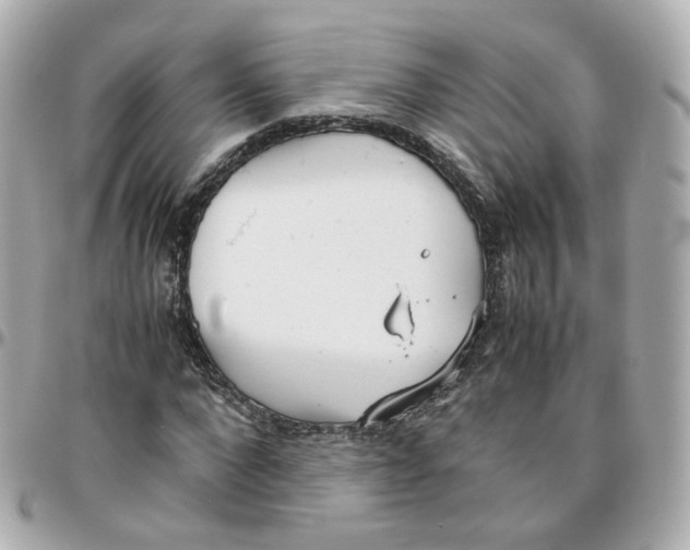 X0000095890872200802011104