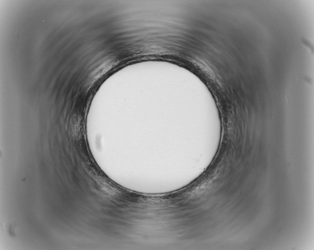 X0000095890873200802011104