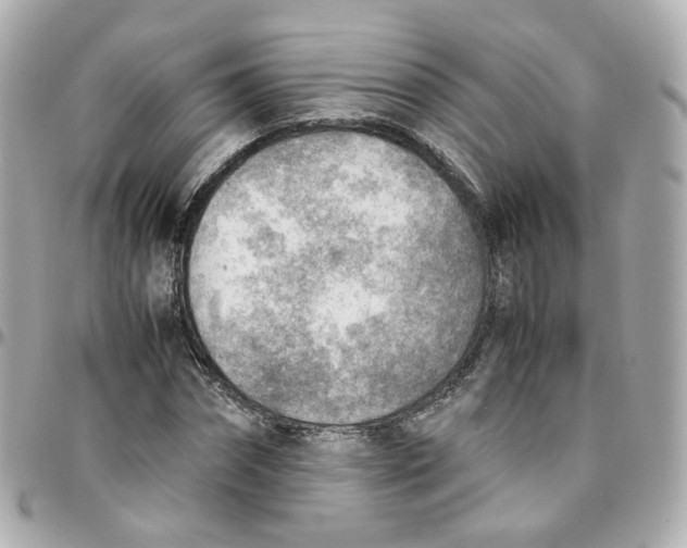 X0000095890874200802011104