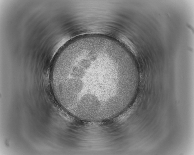 X0000095890875200802011104