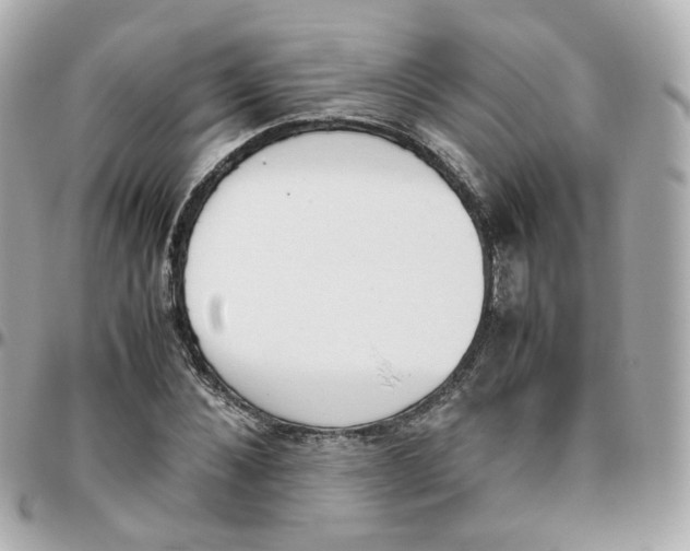 X0000095890876200802011104