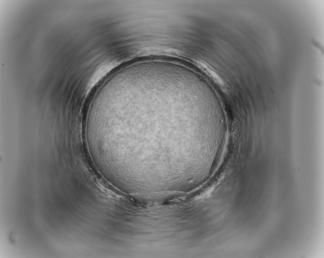 X0000095890877200802011104