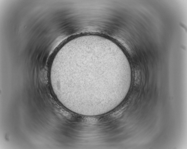 X0000095890878200802011104