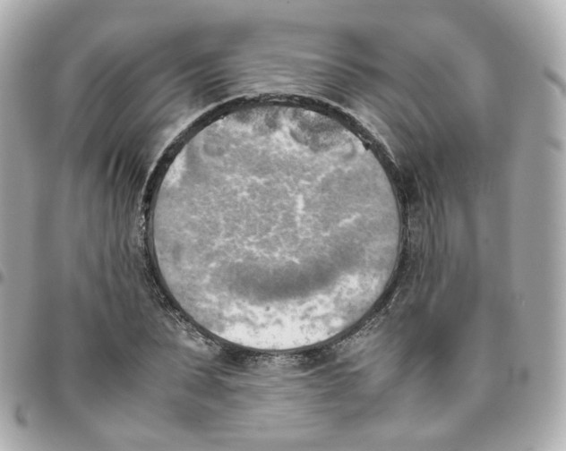 X0000095890879200802011104