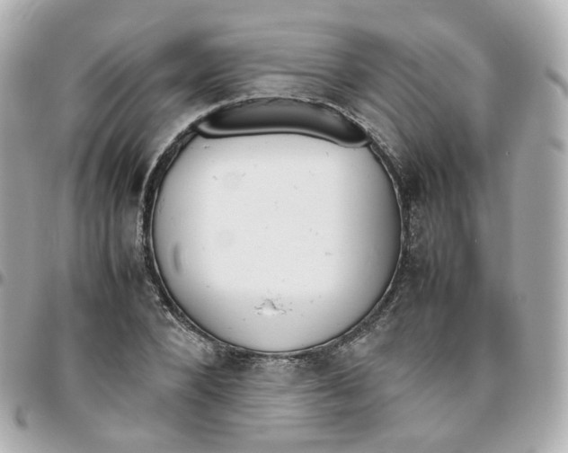 X0000095890880200802011104