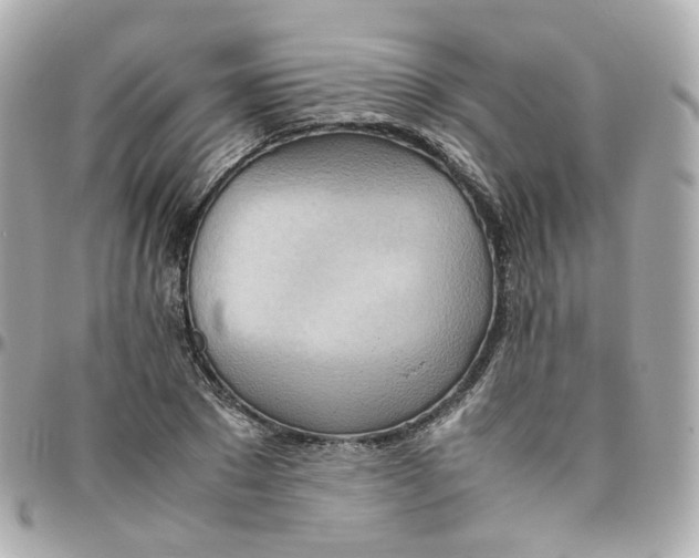 X0000095890881200802011104