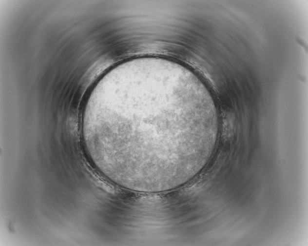 X0000095890882200802011104