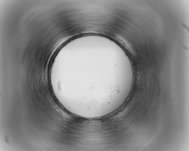 X0000095890884200802011104