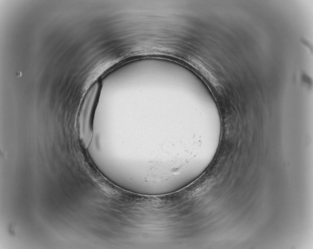 X0000095890885200802011104