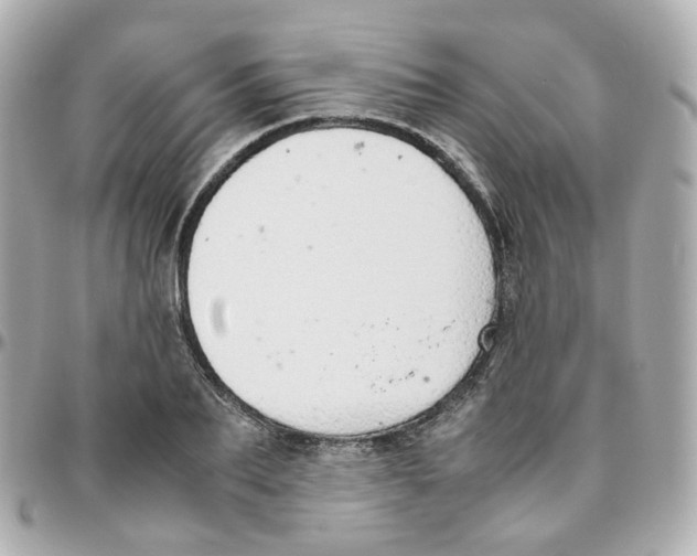 X0000095890887200802011104