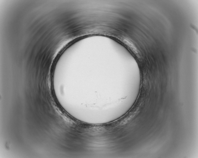 X0000095890888200802011104