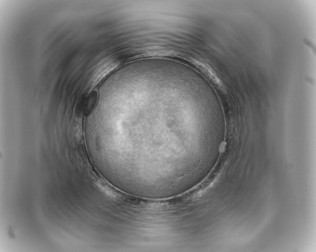 X0000095890889200802011104