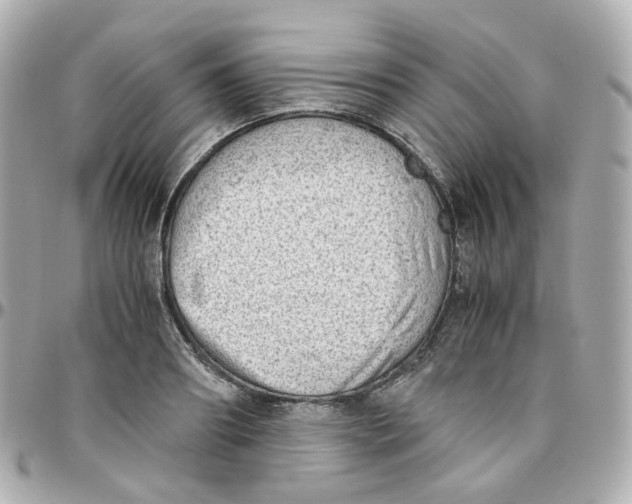 X0000095890890200802011104