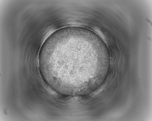 X0000095890891200802011104