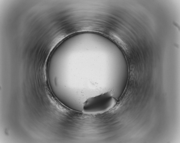 X0000095890892200802011104