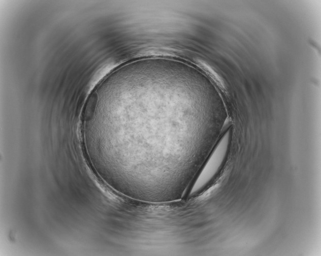 X0000095890893200802011104