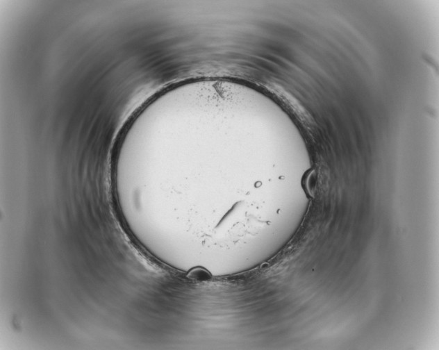 X0000095890894200802011104