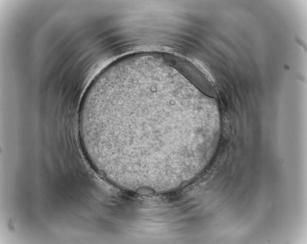 X0000095890895200802011104