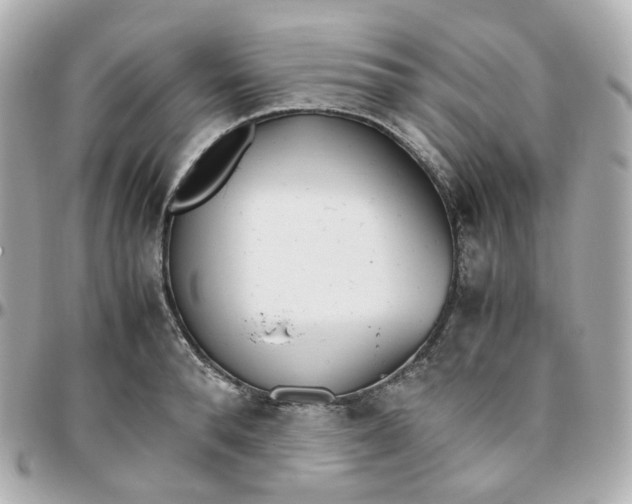 X0000095890896200802011104