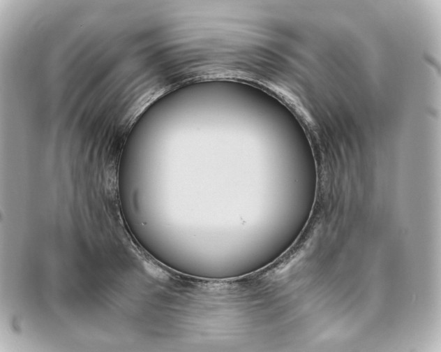 X0000095890897200802011104