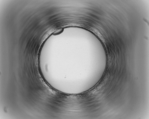 X0000095890898200802011104