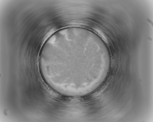 X0000095890899200802011104