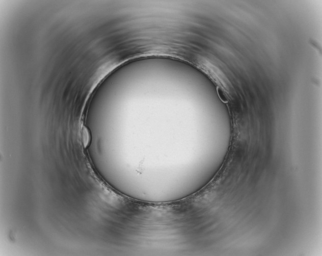 X0000095890900200802011104