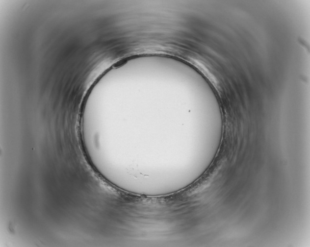 X0000095890901200802011104