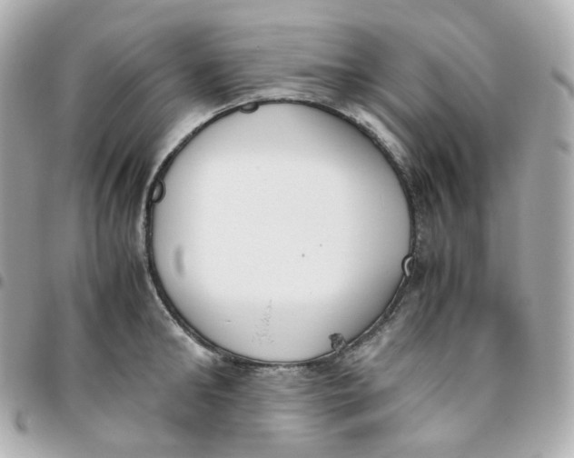 X0000095890902200802011104