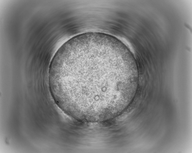 X0000095890903200802011104