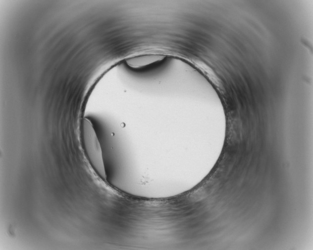 X0000095890904200802011104