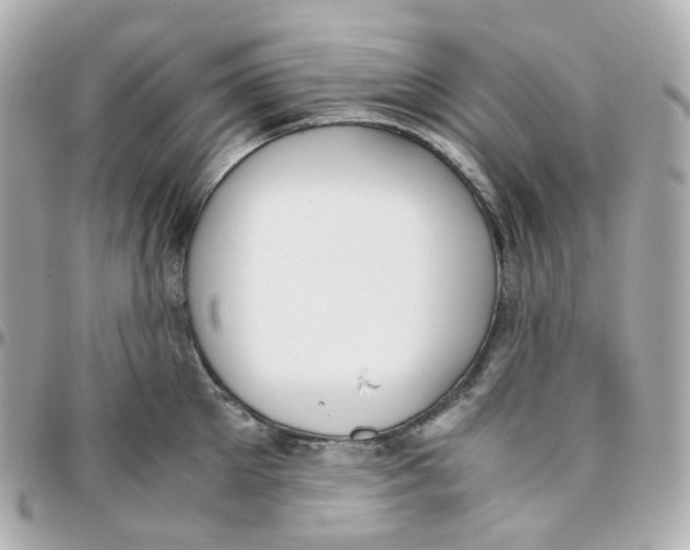 X0000095890905200802011104