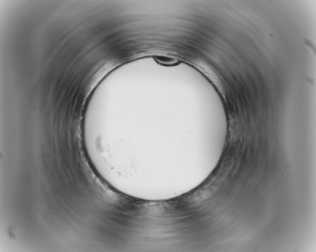 X0000095890906200802011104