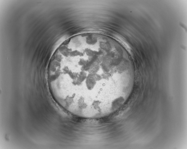 X0000095890907200802011104