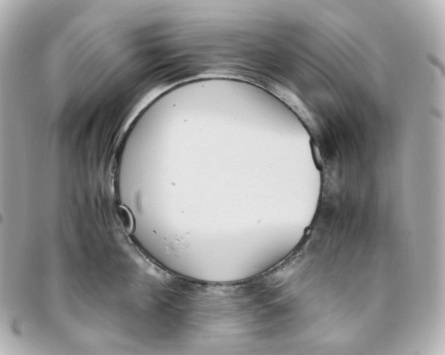 X0000095890908200802011104