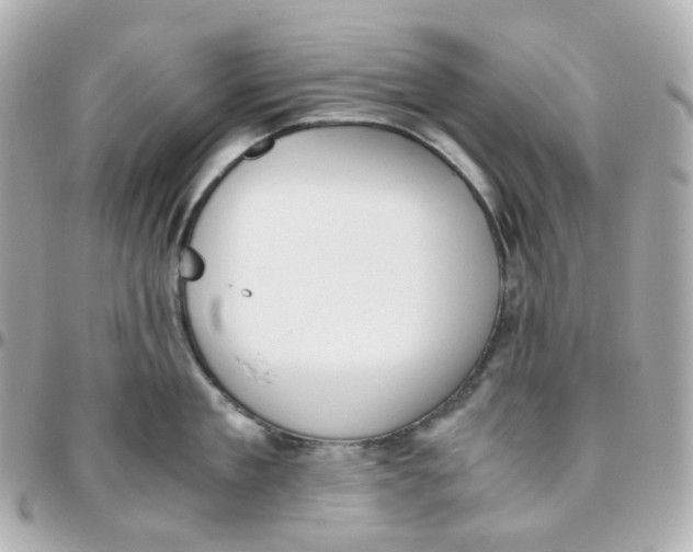 X0000095890909200802011104