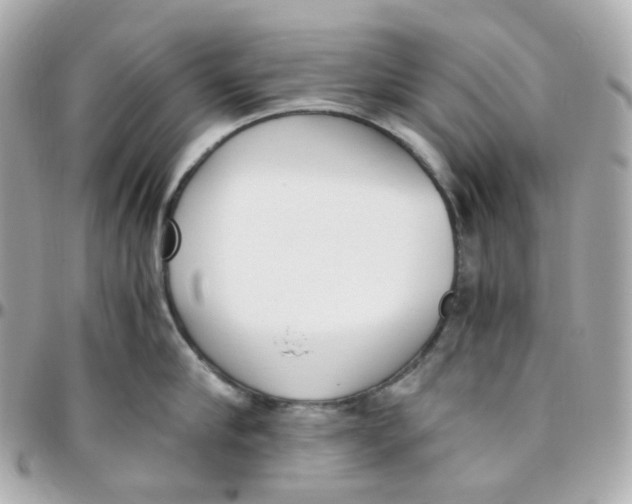 X0000095890910200802011104