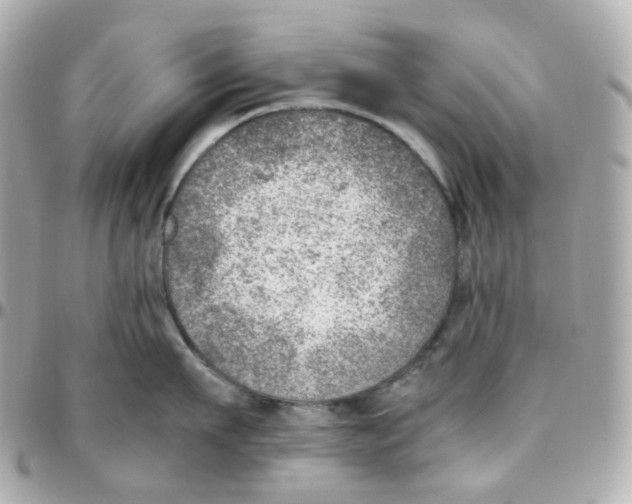 X0000095890911200802011104